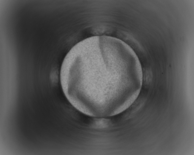 X0000100910226200807151145