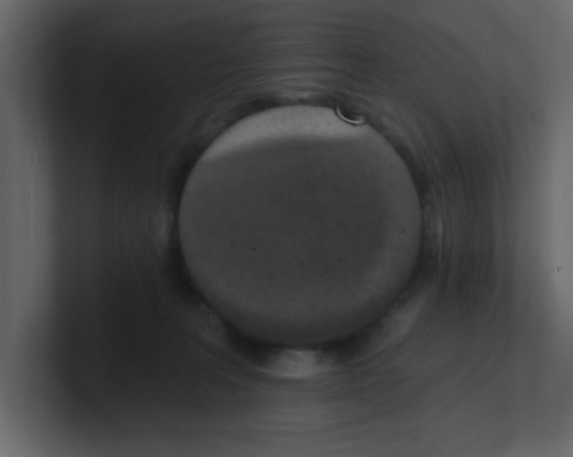 X0000100910227200807151145