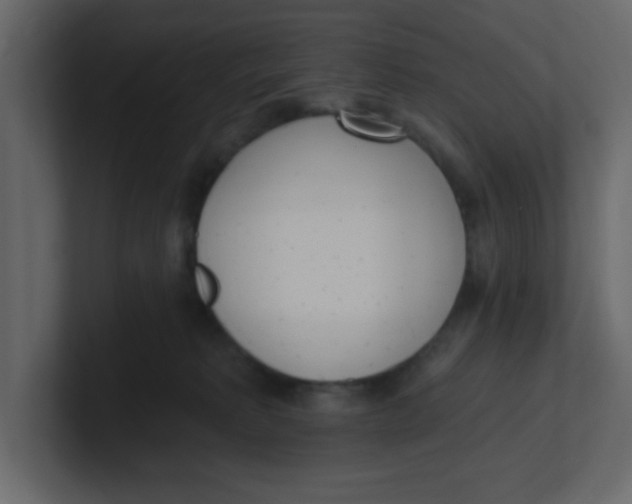 X0000100910229200807151145