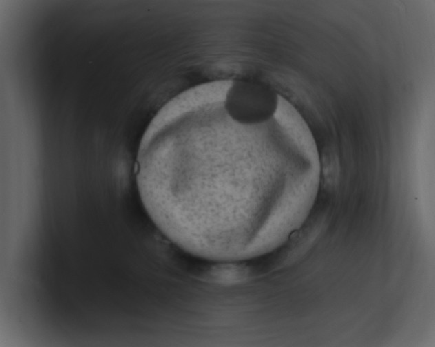 X0000100910231200807151145