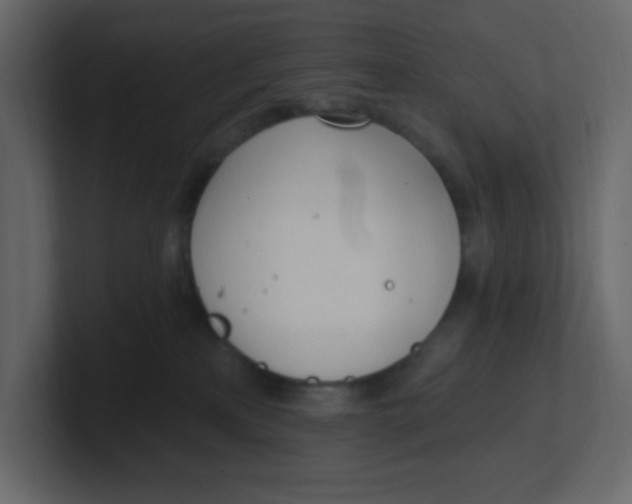 X0000100910233200807151145