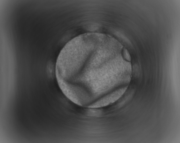 X0000100910234200807151145