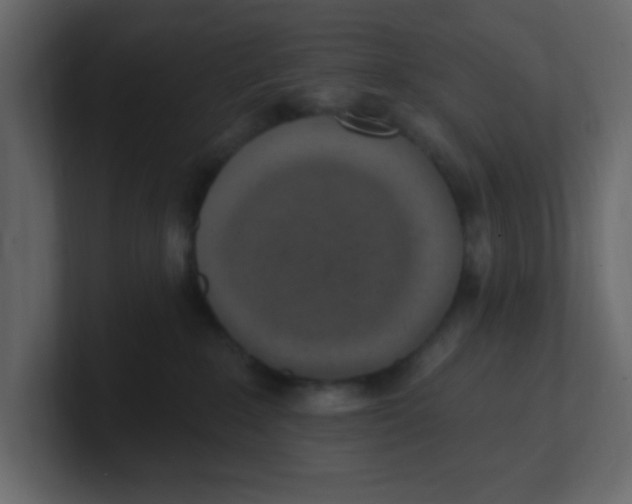 X0000100910235200807151145