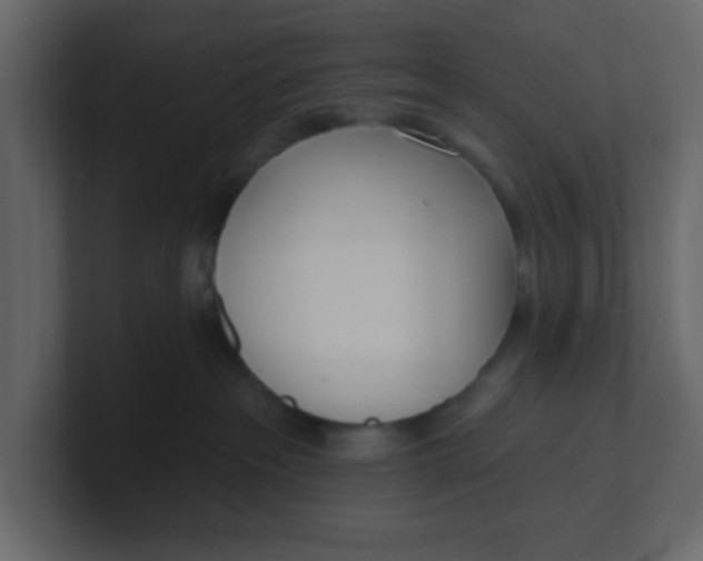 X0000100910237200807151145