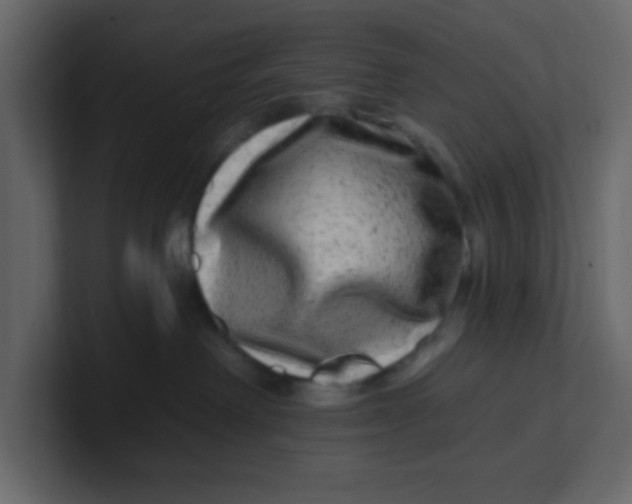 X0000100910238200807151145