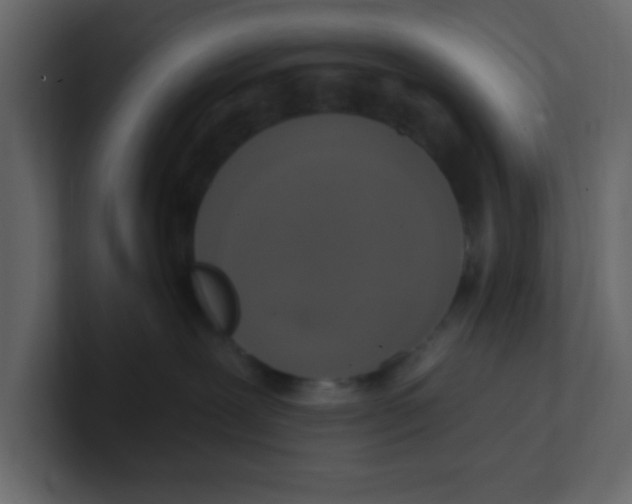 X0000100910239200807151145