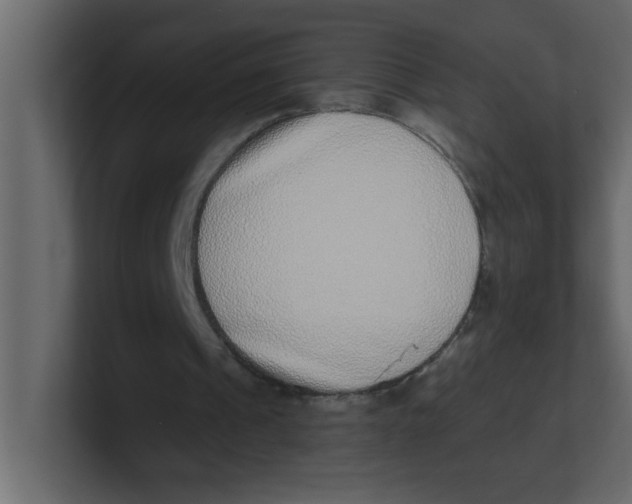 X0000100910241200807151144