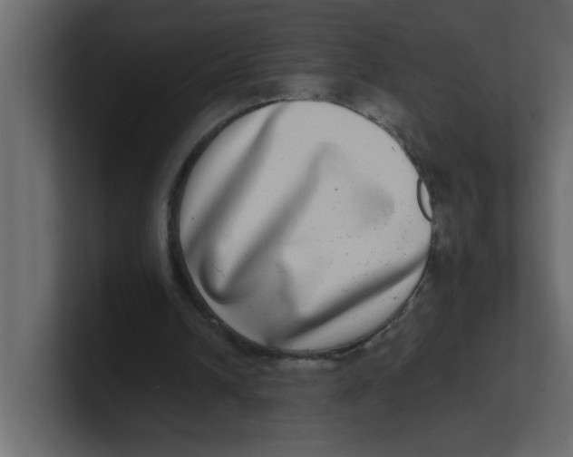 X0000100910242200807151144