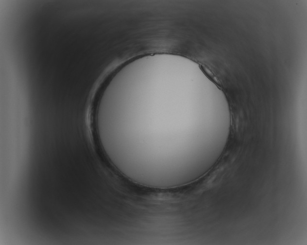 X0000100910244200807151144