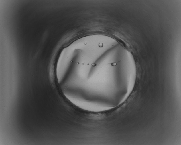 X0000100910245200807151144