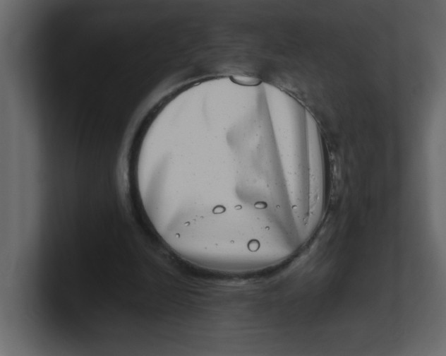 X0000100910246200807151145