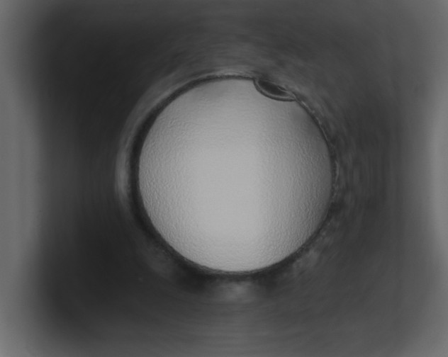 X0000100910247200807151145