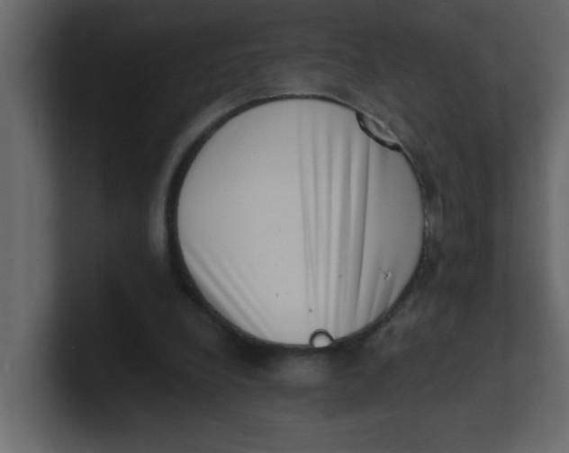 X0000100910248200807151145