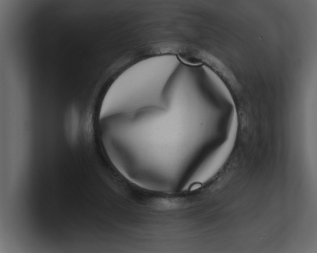 X0000100910250200807151145