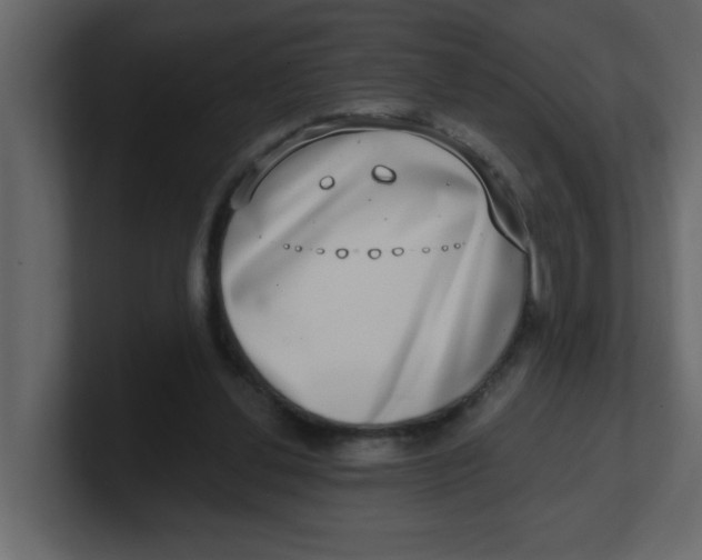 X0000100910252200807151145