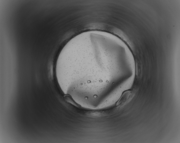 X0000100910253200807151145