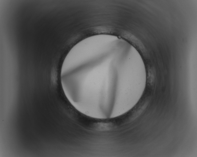 X0000100910255200807151145