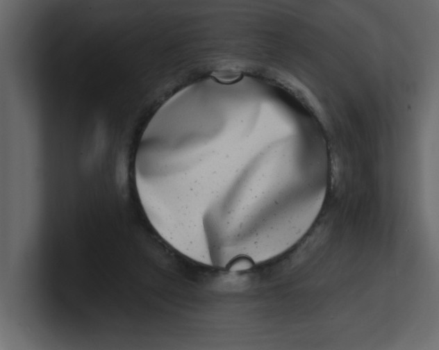 X0000100910257200807151145