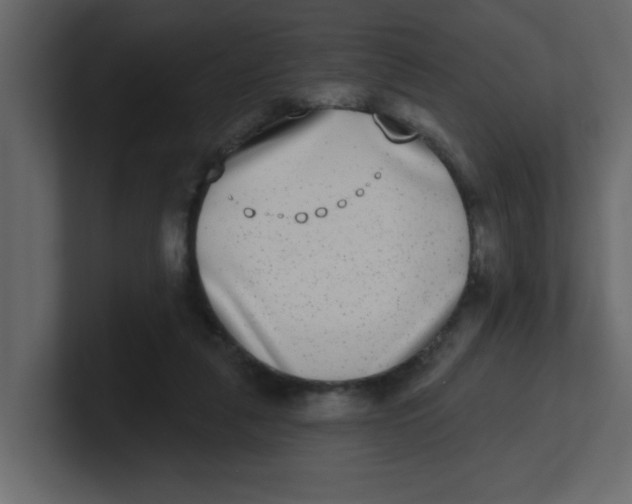 X0000100910259200807151145