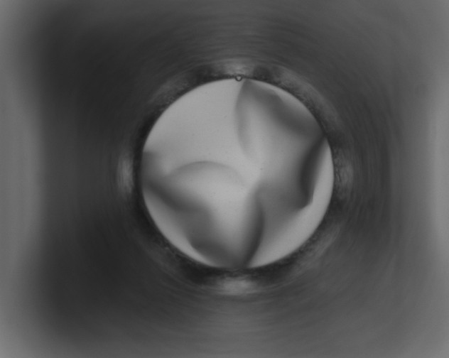 X0000100910262200807151145