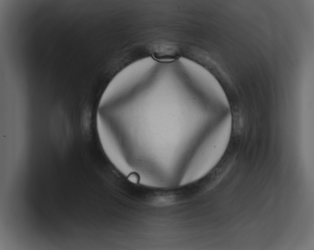 X0000100910263200807151145