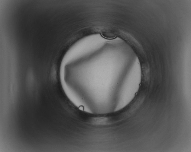 X0000100910266200807151145