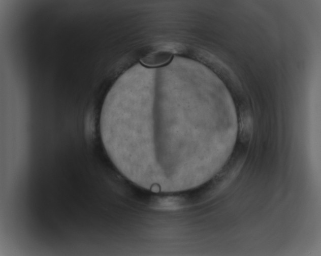 X0000100910268200807151145