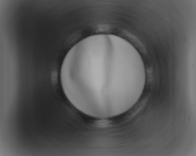 X0000100910269200807151145