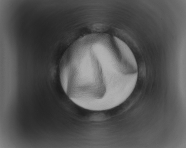 X0000100910271200807151145