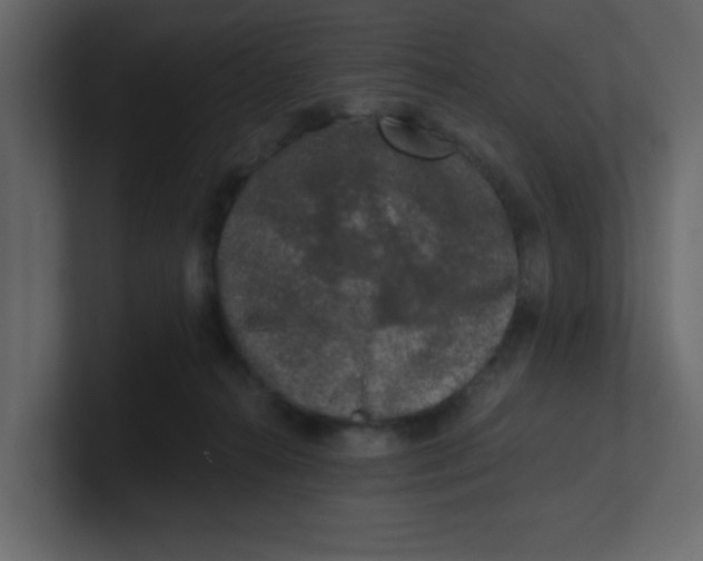 X0000100910272200807151145