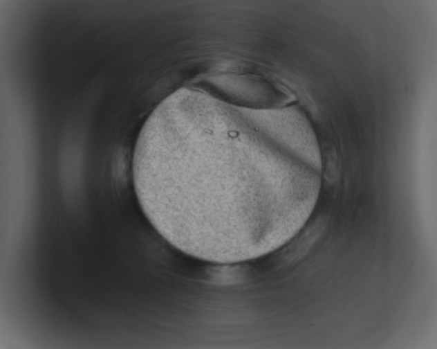 X0000100910273200807151145