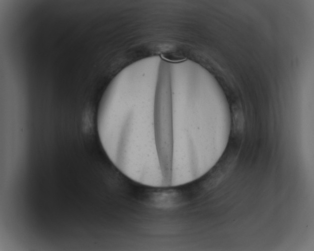 X0000100910274200807151145