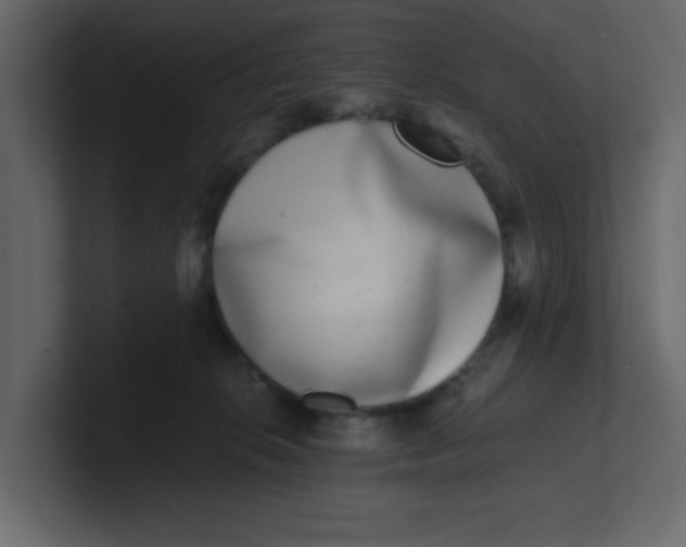 X0000100910276200807151145