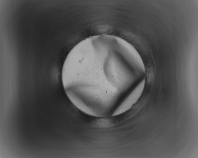 X0000100910279200807151145