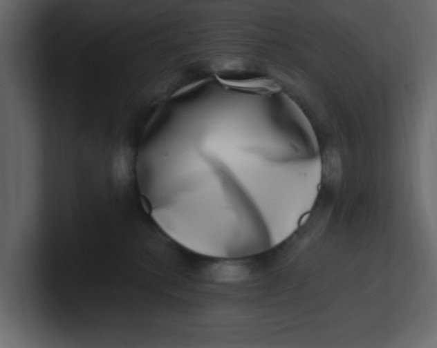 X0000100910280200807151145