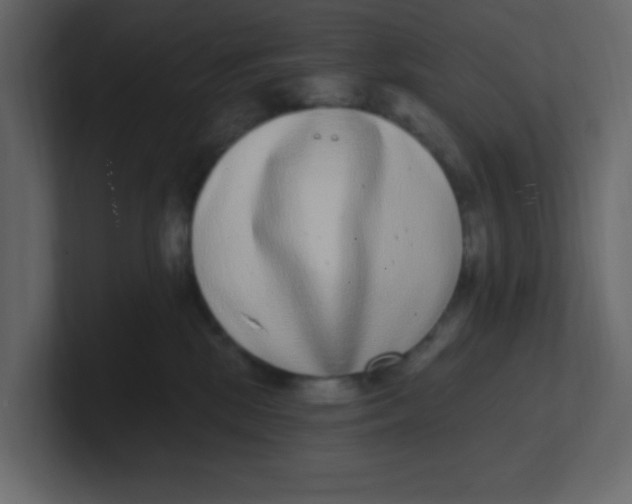 X0000100910281200807151145