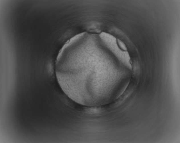 X0000100910282200807151145