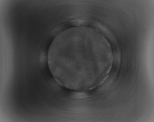 X0000100910284200807151145