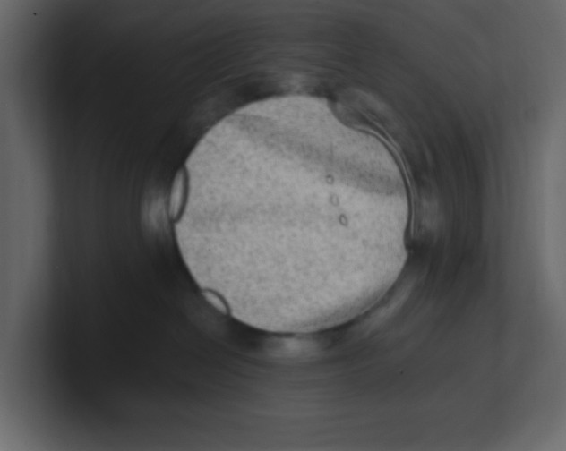 X0000100910286200807151145