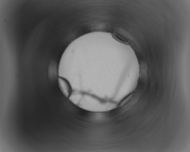 X0000100910287200807151145