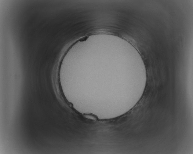 X0000100910289200807151144