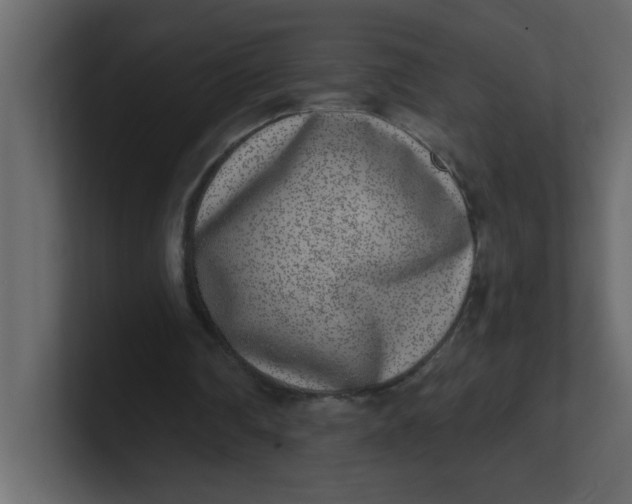 X0000100910290200807151144