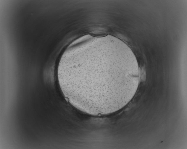 X0000100910291200807151144