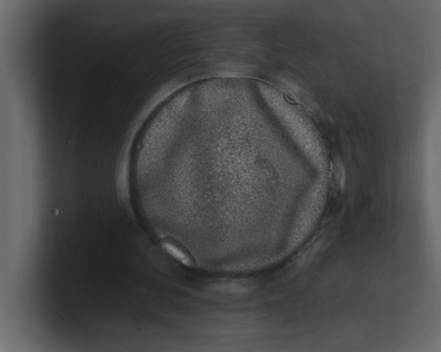 X0000100910292200807151144