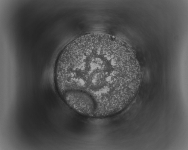 X0000100910293200807151144