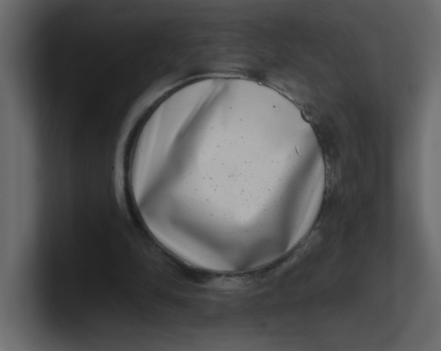 X0000100910294200807151144