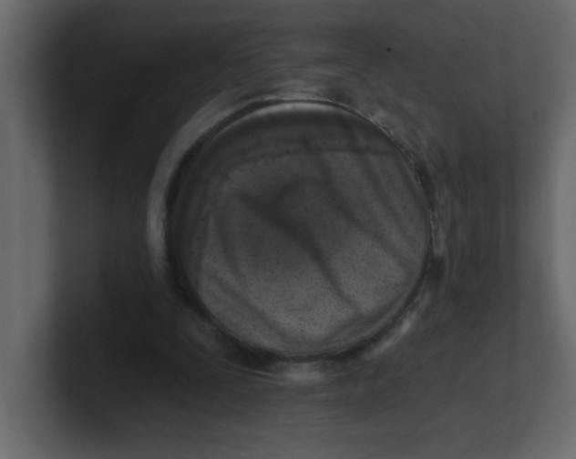 X0000100910295200807151144