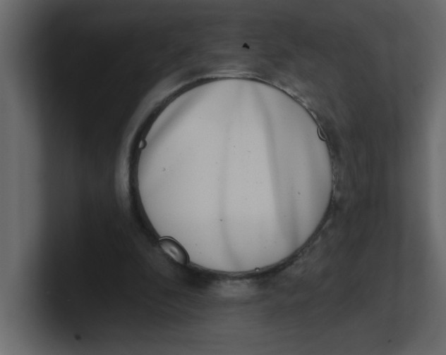 X0000100910296200807151144