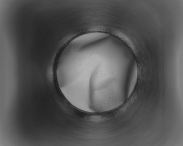 X0000100910298200807151144