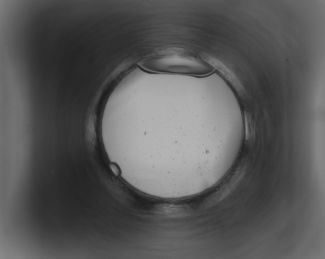 X0000100910300200807151144